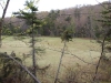 Small wetland northeast of Sunshine Pond